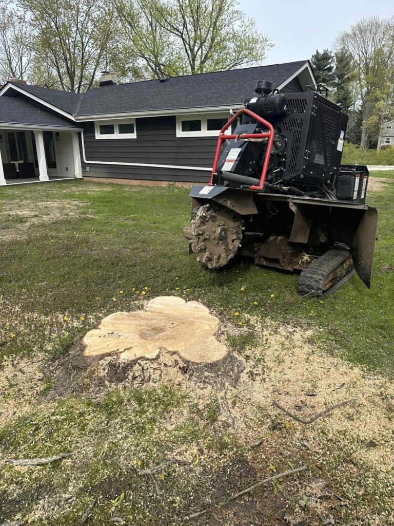 Stump grinder next to a tree stump in a residential yard