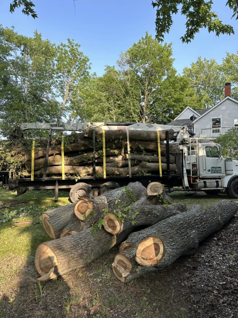 Cut tree sections and a loaded log truck on a Sherwood tree removal job